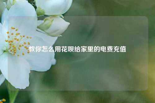 教你怎么用花呗给家里的电费充值