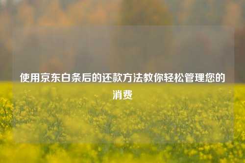 使用京东白条后的还账方法教你轻松管理您的消费