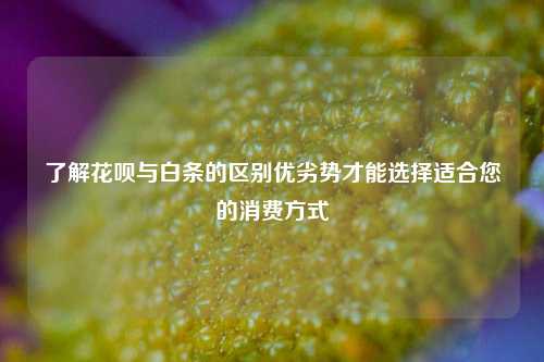 了解花呗与白条的区别优劣势才能选择适合您的消费方式