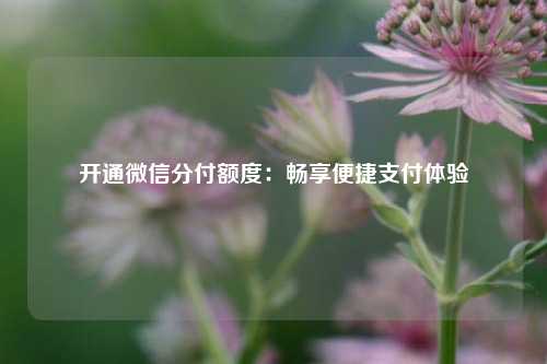 开通微信分付额度：畅享便捷支付体验