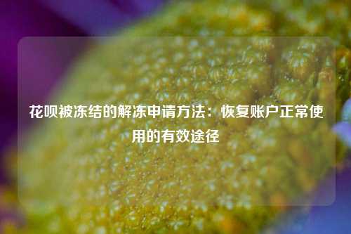 花呗被冻结的解冻申请方法：恢复账户正常使用的有效途径