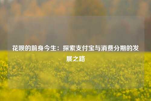 花呗的前身今生：探索ZFB与消费分期的发展之路