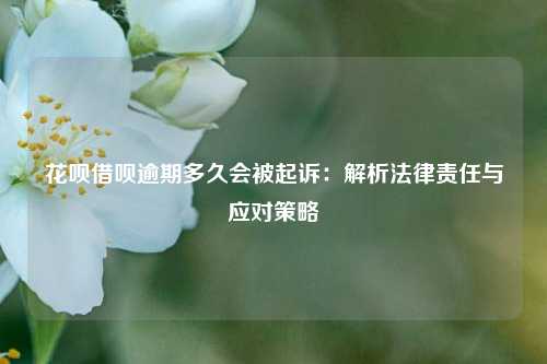 花呗借呗逾期多久会被起诉：解析法律责任与应对策略