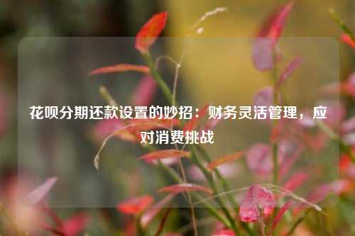 花呗分期还账设置的妙招：财务灵活管理，应对消费挑战