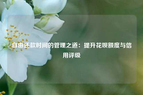 自由还账时间的管理之道：提升花呗额度与信用评级