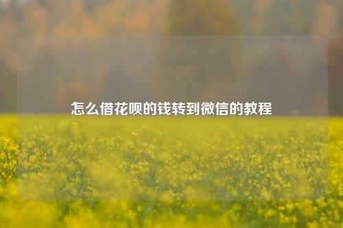 怎么借花呗的Q转到微信的教程