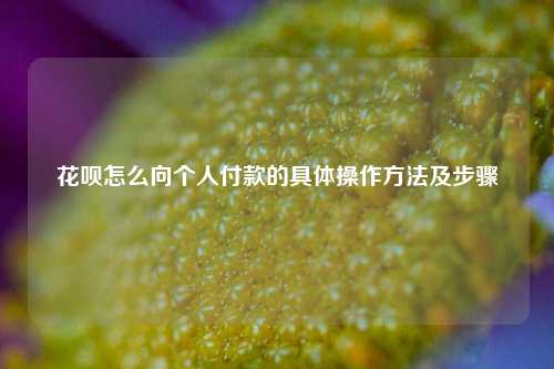 花呗怎么向个人付账的具体操作方法及步骤