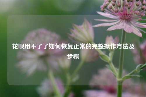 花呗用不了了如何恢复正常的完整操作方法及步骤