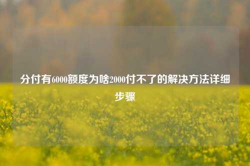 分付有6000额度为啥2000付不了的解决方法详细步骤