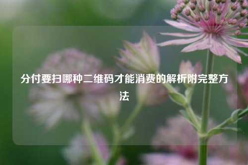 分付要扫哪种二维码才能消费的解析附完整方法