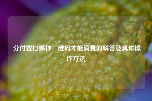  分付要扫哪种二维码才能消费的解答及具体操作方法