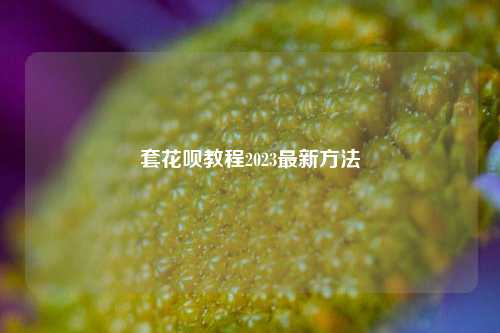 套花呗教程2023最新方法