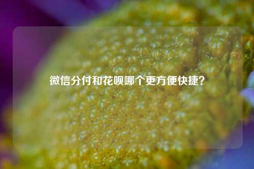 微信分付和花呗哪个更方便快捷？