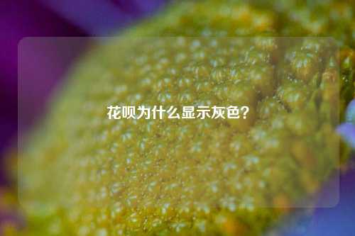 花呗为什么显示灰色？