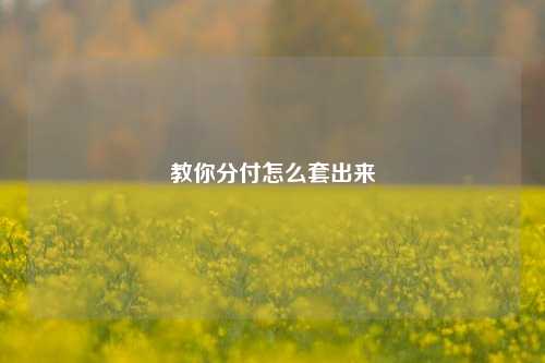 教你分付怎么套出来