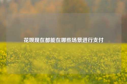 花呗如今都能在哪些场景进行支付