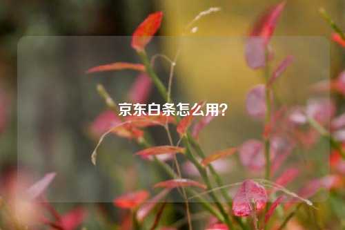 京东白条怎么用？