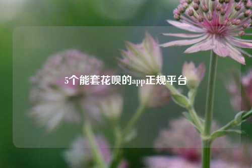 5个能套花呗的app正规平台