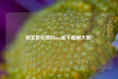 淘宝套花呗的app能不能刷大额?