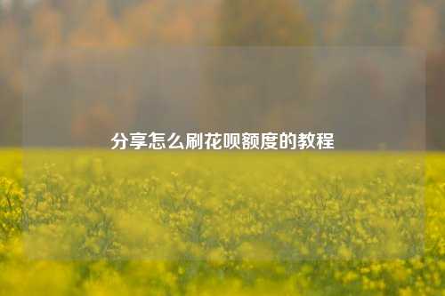 分享怎么刷花呗额度的教程