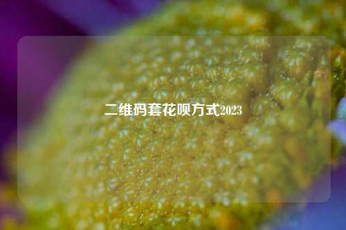 二维码套花呗方式2023