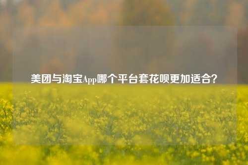 美团与淘宝App哪个平台套花呗更加适合？