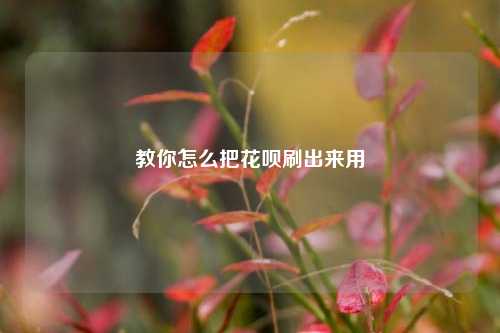 教你怎么把花呗刷出来用