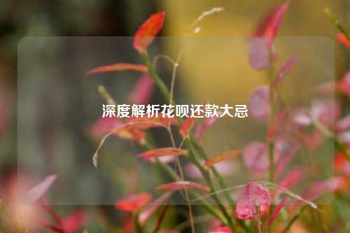 深度解析花呗还账大忌