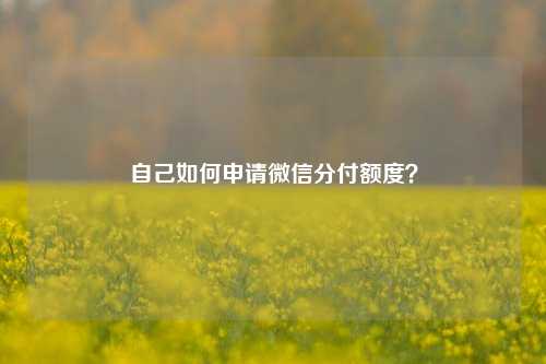 自己如何申请微信分付额度？