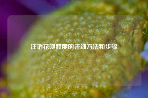 注销花呗额度的详细方法和步骤