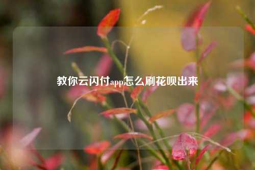 教你云闪付app怎么刷花呗出来