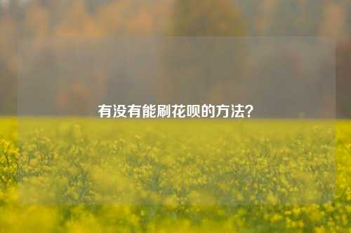 有没有能刷花呗的方法？