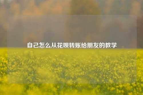 自己怎么从花呗转账给朋友的教学