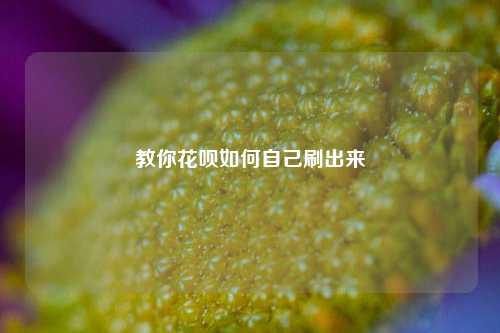 教你花呗如何自己刷出来