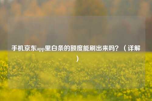 手机京东app里白条的额度能刷出来吗？（详解）